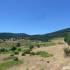 Pinares a la sombra de Peña Quemada; lugares cercanos a madrid para visitar diccionario montaña pala